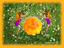 fairy magic readings