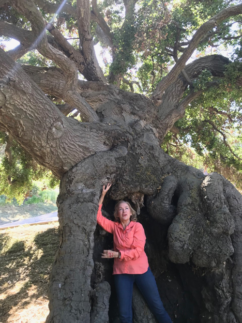 Tree Messages